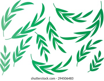 leaf design