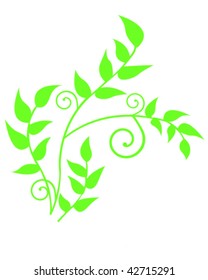 Leaf Design