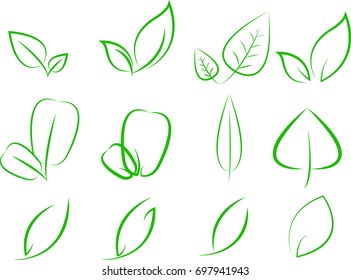 leaf design