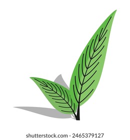 
Diseño de hojas en estilo plano. ilustración de hojas en estilo plano. ecosistema verde. Diseño de elementos para etiquetas biológicas naturales, ecológicas y de reciclaje.