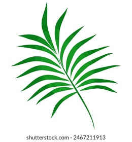 leaf design in flat style. Summer palm leaf symbo