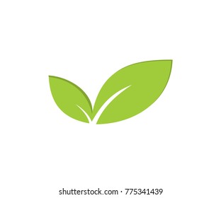 leaf design logo symbol. on white banner. flat green icon nature