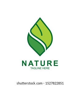 Leaf design logo Template. Green Nature Icon  Design