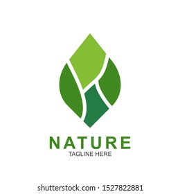 Leaf design logo Template. Green Nature Icon  Design