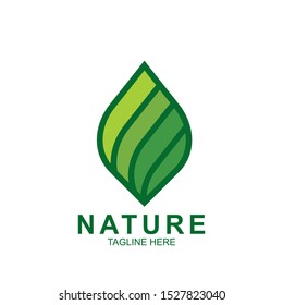 Leaf design logo Template. Green Nature Icon  Design