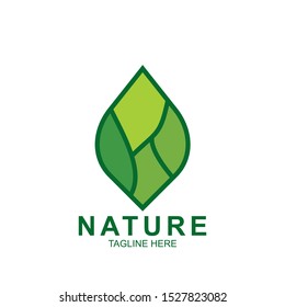 Leaf design logo Template. Green Nature Icon  Design