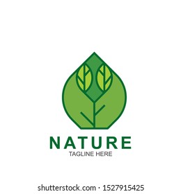 Leaf design logo Template. Green Nature Icon  Design