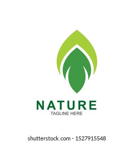 Leaf design logo Template. Green Nature Icon  Design