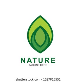 Leaf design logo Template. Green Nature Icon  Design