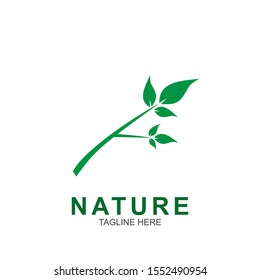 Leaf design logo Template. Green Nature Icon  Design