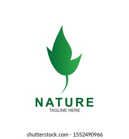 Leaf design logo Template. Green Nature Icon  Design
