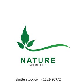 Leaf design logo Template. Green Nature Icon  Design