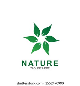 Leaf design logo Template. Green Nature Icon  Design
