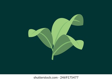 leaf design with modern concept premium vector