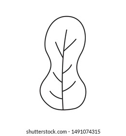 Leaf design, Plant floral garden nature decoration ornament and season theme Vector illustration