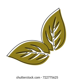 leaf design   vector illustration
