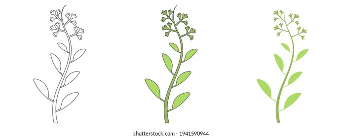 leaf design vector illustration. hand drawn element. black and white outline