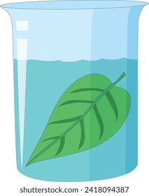 A leaf dissolved in a water jar