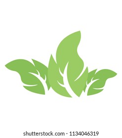 
Leaf divided into three parts showcasing tripartite leaf
