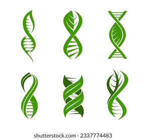 Leaf-DNA-Pflanzensymbol, Wissenschaft, Gesundheit und Natur-genetische Forschung, Vektorgrünhelix. Symbol für die Biotechnologie, die Öko- und Biotechnologie, das Chromosogen-Gen und das Symbol für grüne Blattpflanzen