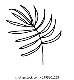Leaf doodle hand drawn illustration. Cute vector design element for kids coloring book, decor of interior or textile or apparel.