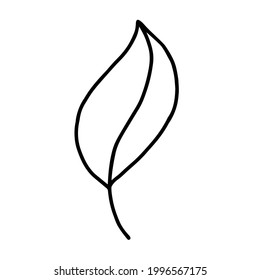 Leaf doodle hand drawn vector illustration. Cute cartoon design element for kids coloring book, decor of interior, stikers or textile or apparel.