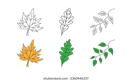 Juego de iconos de doodle de hoja. Eco, símbolo herbario. Verano, otoño, verde, producto natural. Diseño plano para interfaz de usuario web. Estilo de esbozo. Ilustración vectorial.