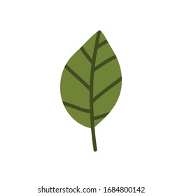 leaf doodle icon, vector illustration