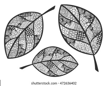 Leaf doodle illustration. Autumn theme ornament. Zentangle coloring page. Vector image for web design, season printed products, backgrounds and other.