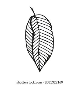 Leaf-Doodle-Illustration von Hand, Vektorschwarz Blätter Farbe Herbstblatt Feder November kalte Pflanzen