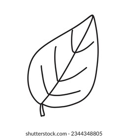 Leaf Doodle school element. Back to school kids knowledge education.