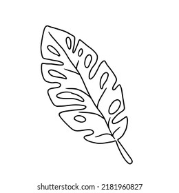 Leaf in doodle style vector illustration. Natural plant element isolated on white background.