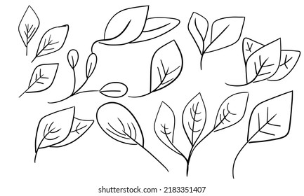 Leaf doodle tea icon and vegan sketch leaves. Tree fresh plant and bio food line vector illustration. Black laurel linear and farm energy design element flower. Set drawn collection foliage summer