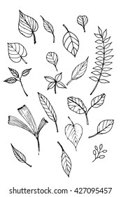 Leaf Doodle Vector