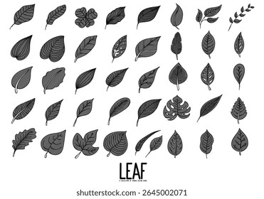 Conjunto de ícones de vetor Doodle de folha. Desenho esboço ilustração mão desenhado linha.