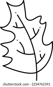 Leaf doodle2. Green leaf of a tree. Cartoon black and white vector illustration.