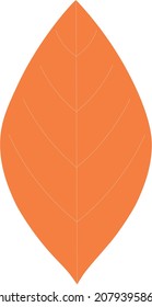 Leaf drawing created for patterns.