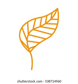 leaf drawing isolated icon vector illustration design