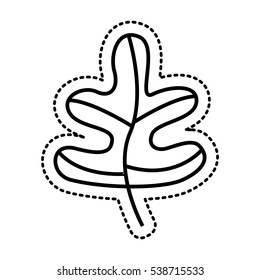 leaf drawing isolated icon vector illustration design
