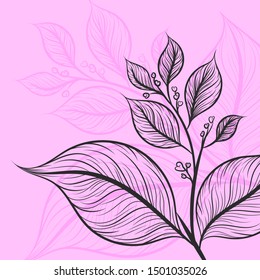 Leaf drawing nature art pattern vector wallpaper on a pink backgrounds