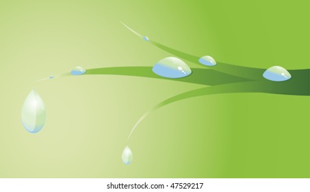 leaf and drop