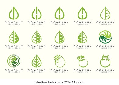 leaf and drop logo design vector