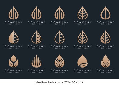 leaf and drop logo design vector