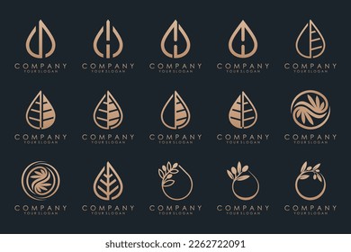 leaf and drop logo design vector