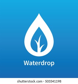 Leaf and a drop of water ecology icon.