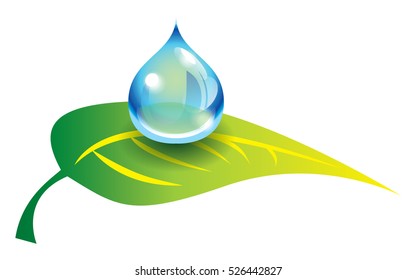A leaf and a drop of water, vector illustration, on transparent background