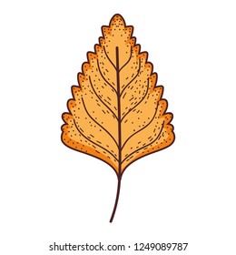 leaf dry isolated icon