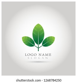 Leaf & Eco Logo. Symbol & Icon Vector Template