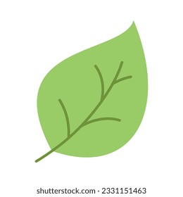 Diseño de iconos aislados del entorno natural ecológico de hoja