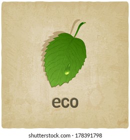 leaf eco old background - vector illustration